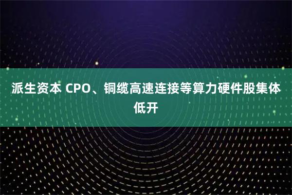 派生资本 CPO、铜缆高速连接等算力硬件股集体低开