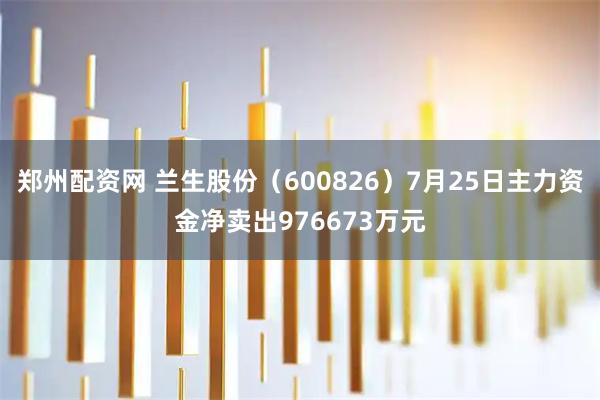郑州配资网 兰生股份（600826）7月25日主力资金净卖出976673万元