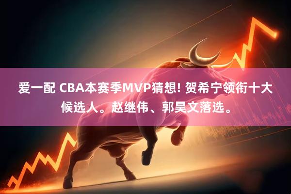 爱一配 CBA本赛季MVP猜想! 贺希宁领衔十大候选人。赵继伟、郭昊文落选。